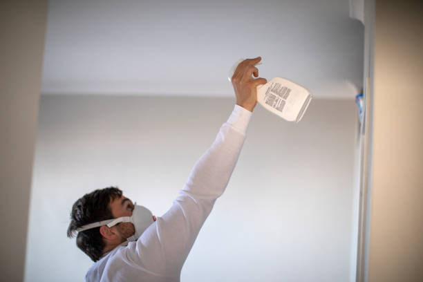 Office Mold Removal Services in Merrifield, VA
