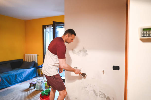 Best Mold Cleaning Services  in Merrifield, VA